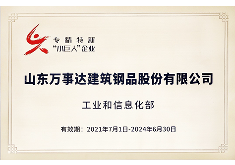国家专精特新小巨人